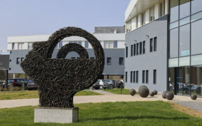 L’intelligence artificielle au service des professionnels de santé